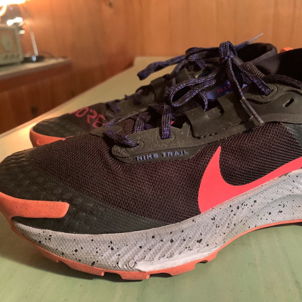 Womens Nike Pegasus Trail 3 Gore Tex Running Hiking Shoes Sz 9 DC8794-002